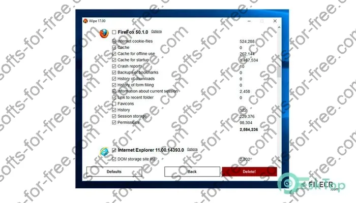 Wipe Professional Activation key 2024.00 Full Free