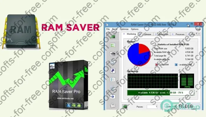 Ram Saver Professional Crack 23.10 Free Full Activated